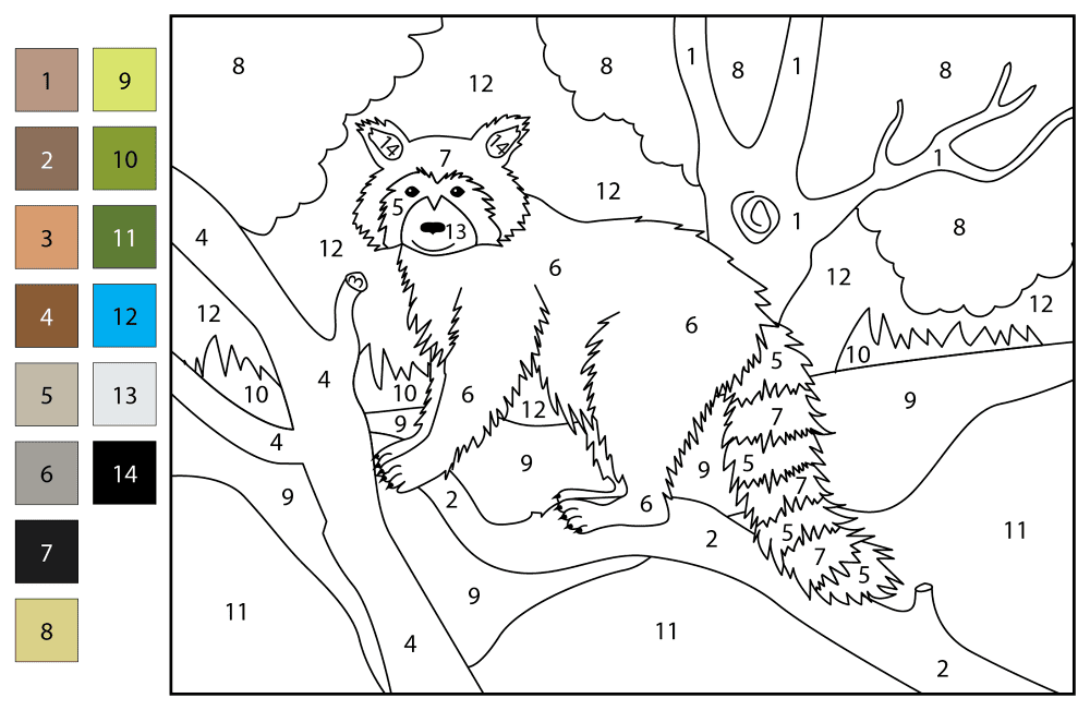 Racoon Color By Number Coloring Page Md Coloring Page — Free Printable — free printable coloring page